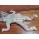 Muñeca Golderger Doll